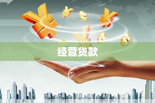 亚东经营贷款