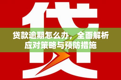 亚东贷款逾期怎么办，全面解析应对策略与预防措施