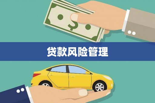 亚东贷款风险管理