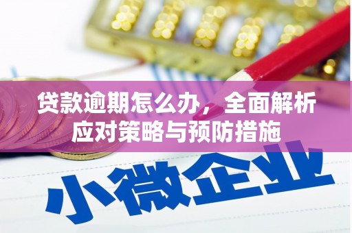亚东贷款逾期怎么办，全面解析应对策略与预防措施