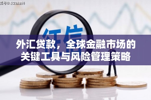 亚东外汇贷款，全球金融市场的关键工具与风险管理策略