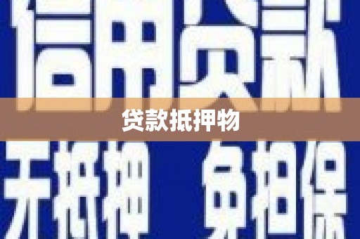 亚东贷款抵押物