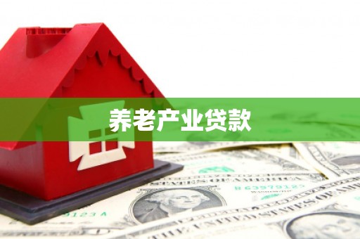 亚东养老产业贷款