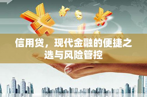亚东信用贷，现代金融的便捷之选与风险管控