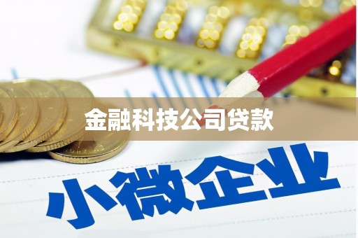 亚东金融科技公司贷款