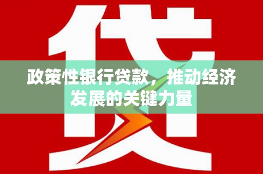 亚东政策性银行贷款，推动经济发展的关键力量