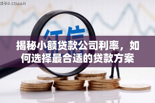 亚东揭秘小额贷款公司利率，如何选择最合适的贷款方案