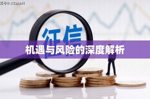 亚东机遇与风险的深度解析