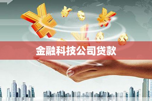 亚东金融科技公司贷款
