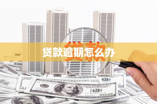 亚东贷款逾期怎么办