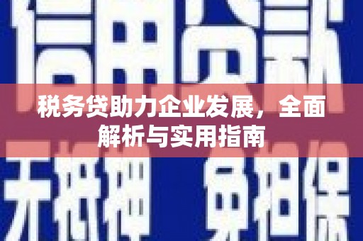 亚东税务贷助力企业发展，全面解析与实用指南