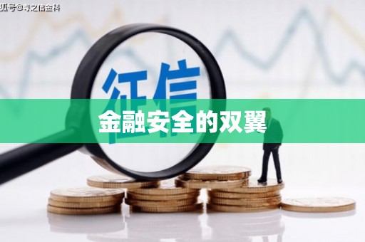 亚东金融安全的双翼