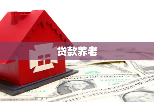 亚东贷款养老
