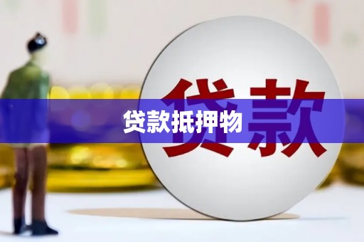 亚东贷款抵押物