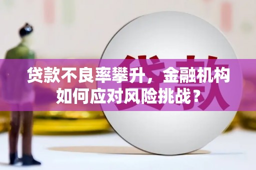 亚东贷款不良率攀升，金融机构如何应对风险挑战？