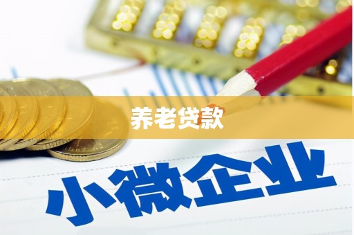 亚东养老贷款