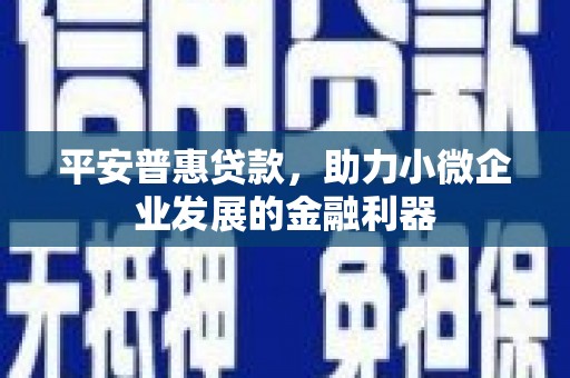 亚东平安普惠贷款，助力小微企业发展的金融利器
