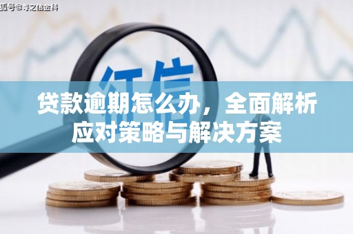 亚东贷款逾期怎么办，全面解析应对策略与解决方案