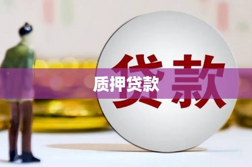 亚东质押贷款