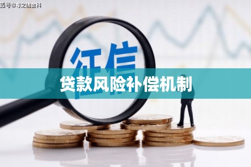 亚东贷款风险补偿机制