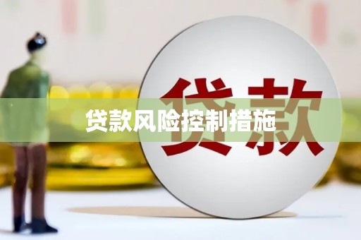 亚东贷款风险控制措施