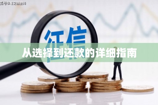 亚东从选择到还款的详细指南