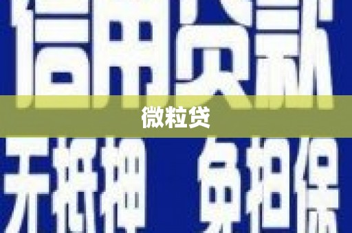 亚东微粒贷