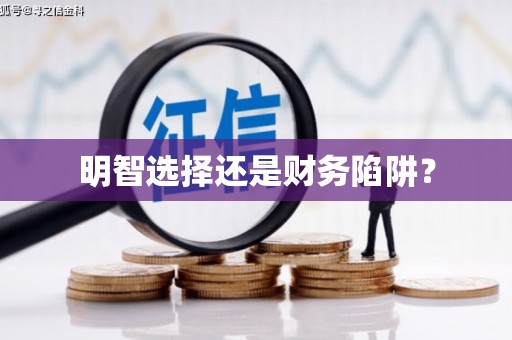 亚东明智选择还是财务陷阱？