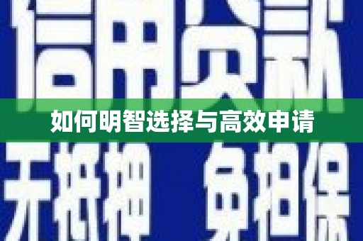 亚东如何明智选择与高效申请