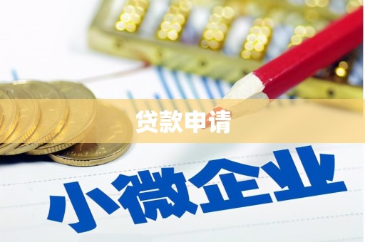亚东贷款申请