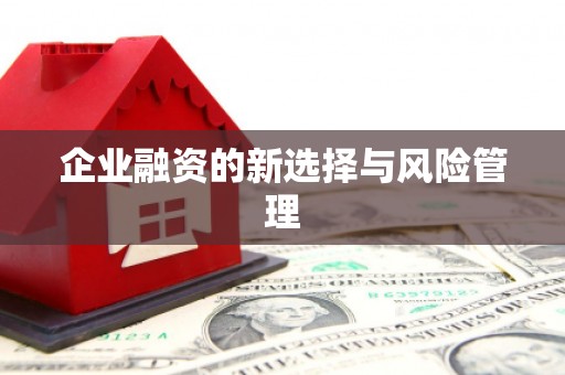 亚东企业融资的新选择与风险管理