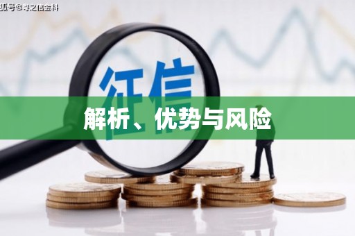 亚东解析、优势与风险