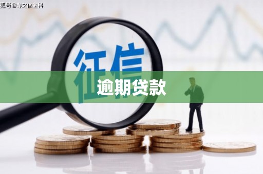 亚东逾期贷款